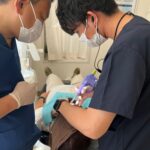 歯科衛生士の診療補助としての麻酔注射について
